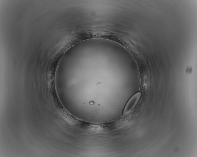 X0000090890519200707271335