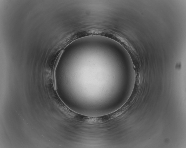 X0000090890521200707271335