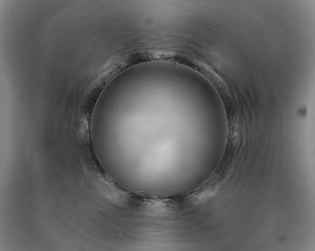 X0000090890523200707271335