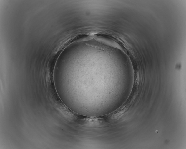 X0000090890524200707271335