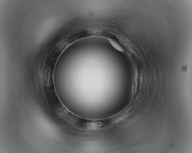 X0000090890525200707271335