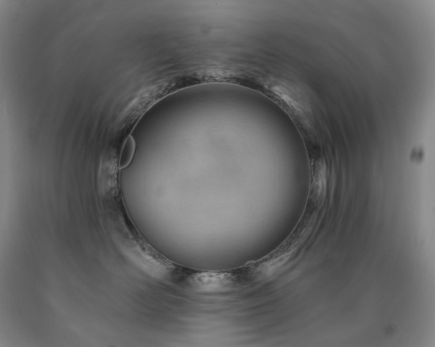 X0000090890526200707271335