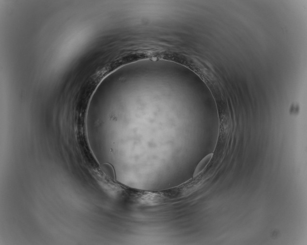 X0000090890527200707271335