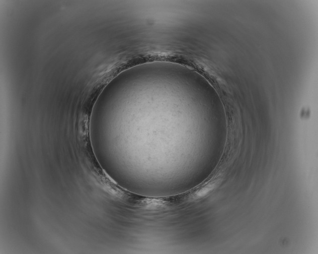 X0000090890528200707271335