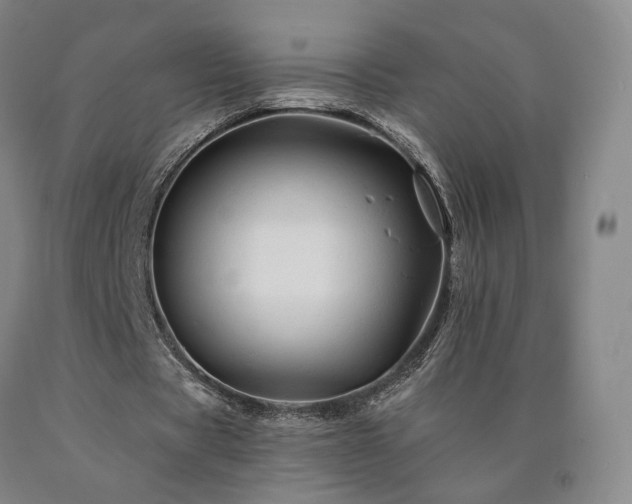 X0000090890529200707271334