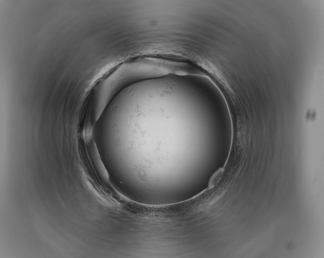 X0000090890530200707271334