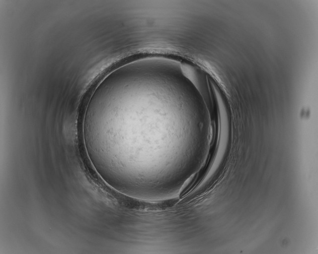 X0000090890531200707271334