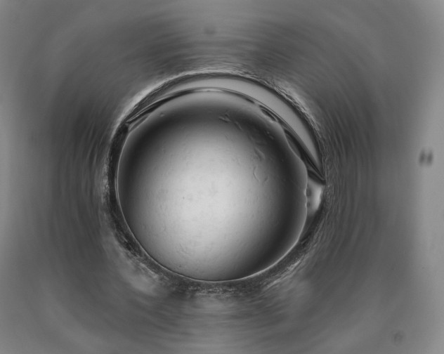 X0000090890532200707271334