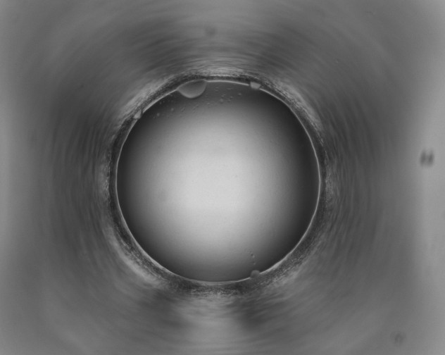 X0000090890533200707271334