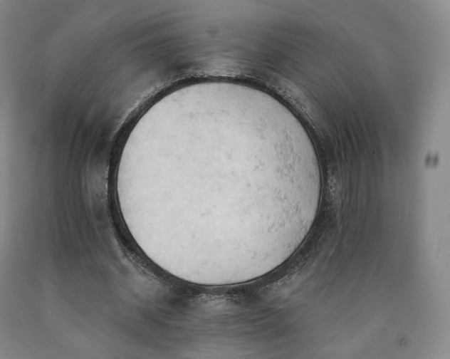 X0000090890534200707271334