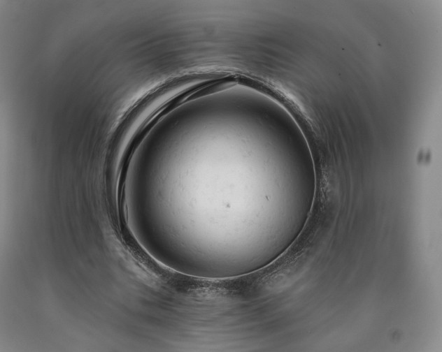 X0000090890535200707271334