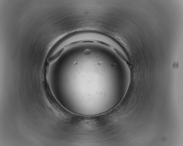 X0000090890536200707271334