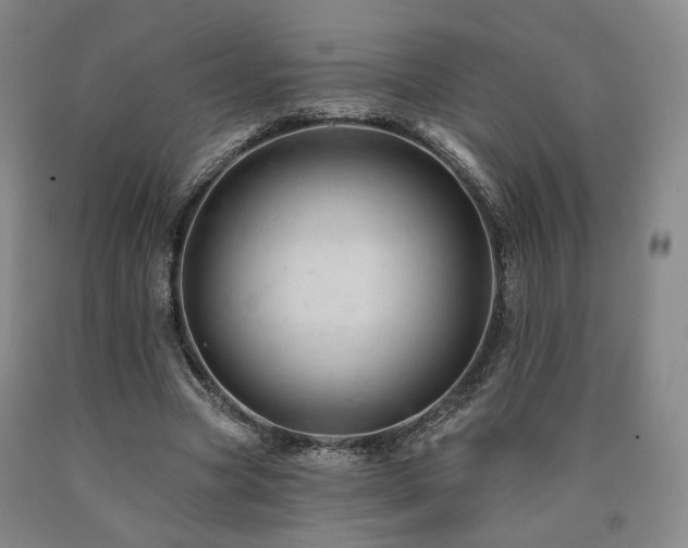 X0000090890537200707271334