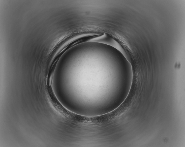 X0000090890538200707271334