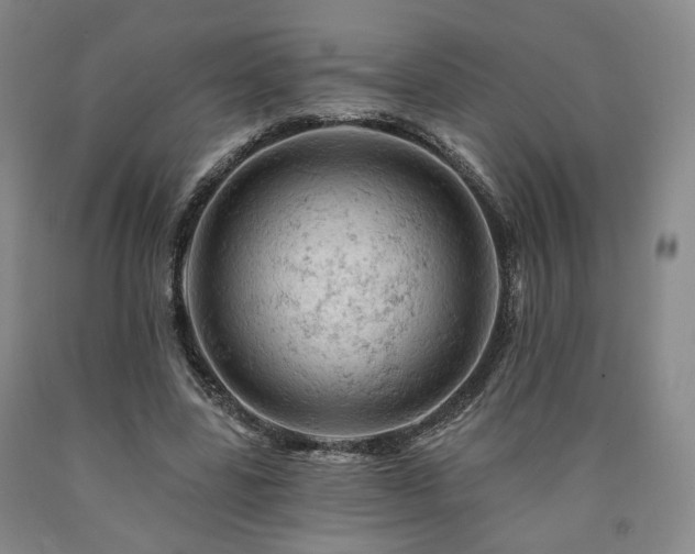 X0000090890539200707271334