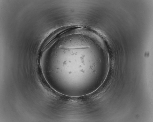 X0000090890540200707271334