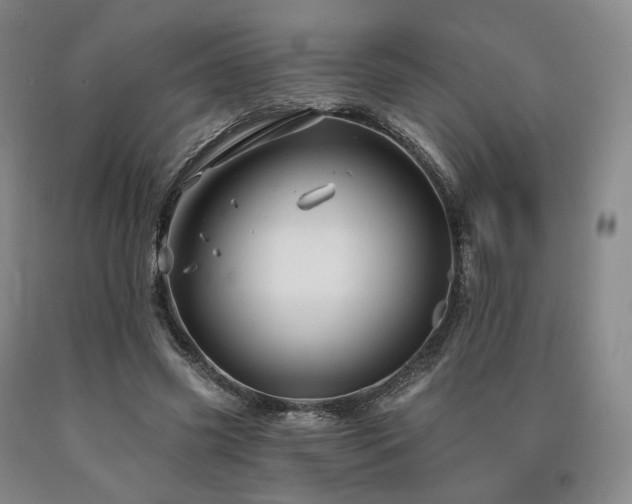 X0000090890541200707271334