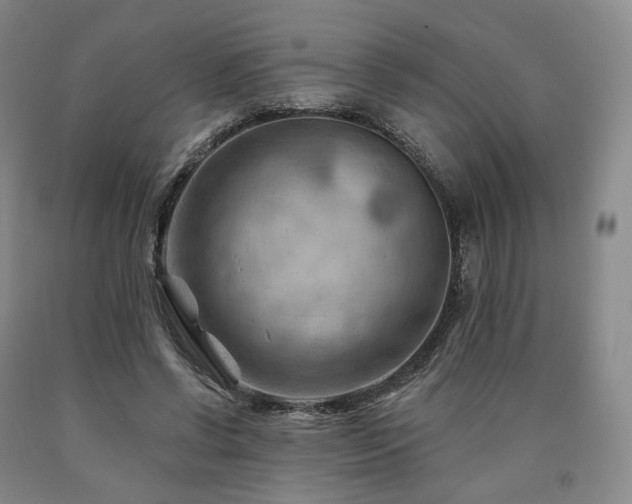 X0000090890542200707271334