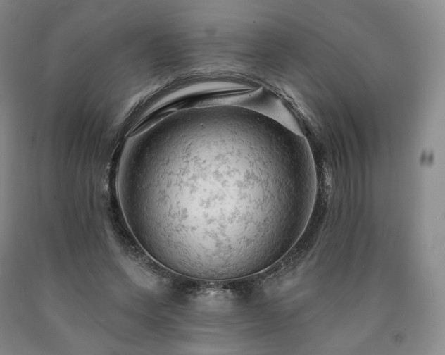 X0000090890543200707271334