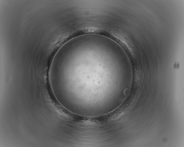 X0000090890545200707271334