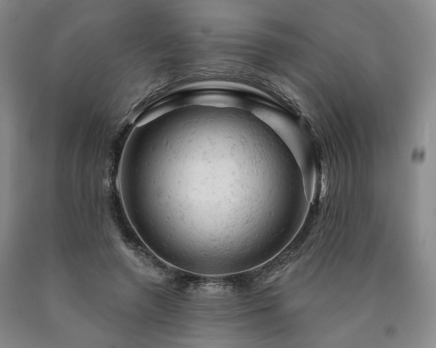 X0000090890546200707271334