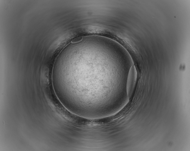 X0000090890547200707271334