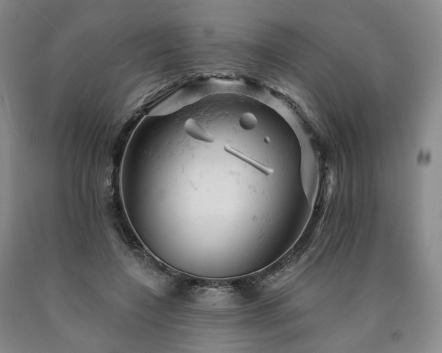 X0000090890548200707271334