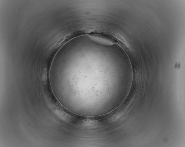 X0000090890549200707271334