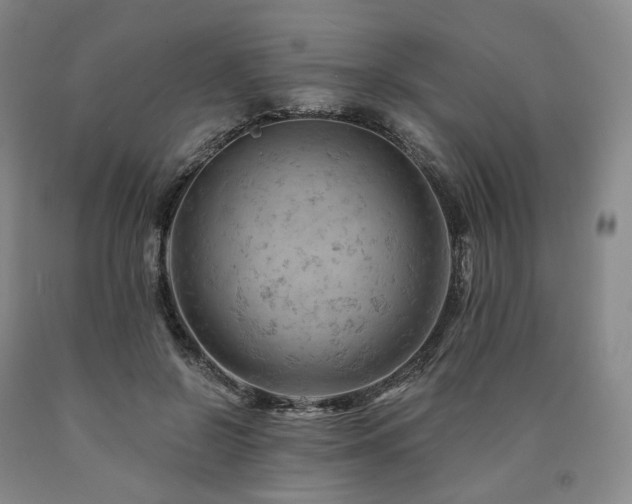 X0000090890550200707271334