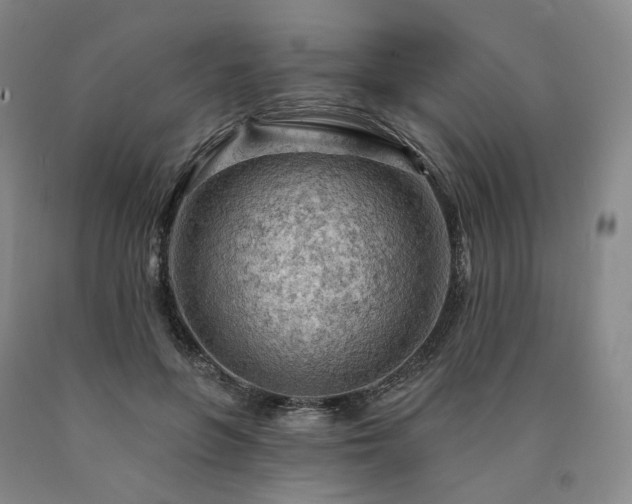 X0000090890551200707271334