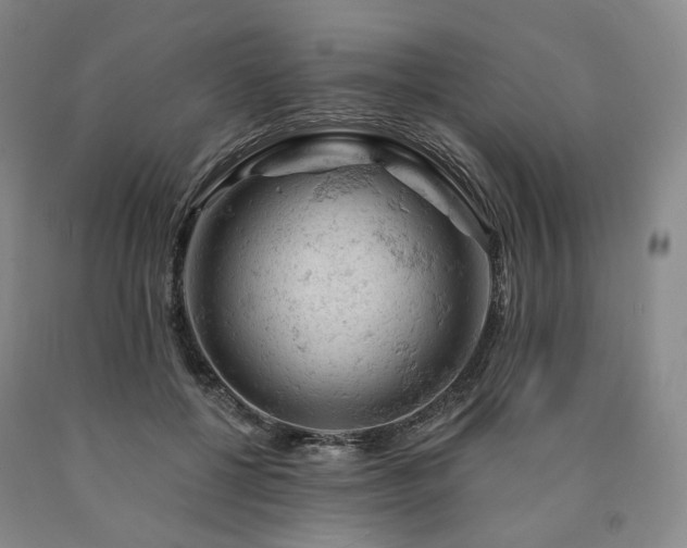 X0000090890552200707271334