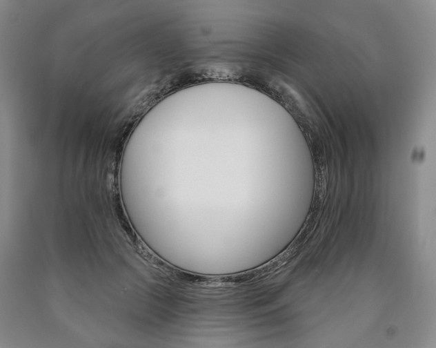 X0000090890553200707271334