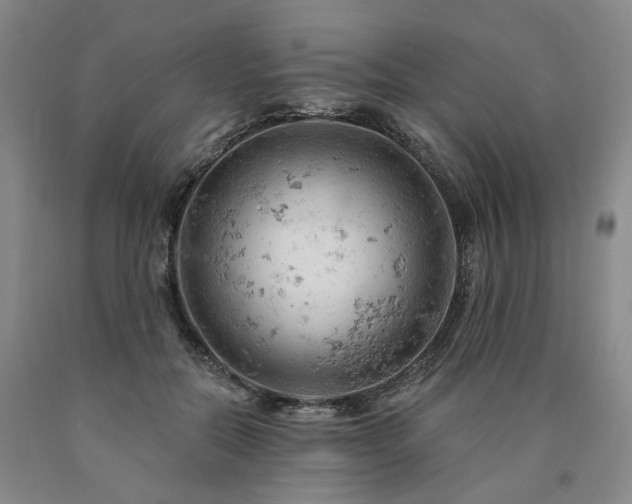 X0000090890554200707271334