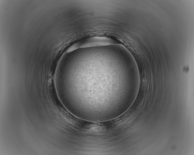 X0000090890555200707271334