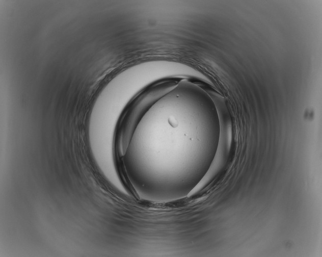 X0000090890556200707271334