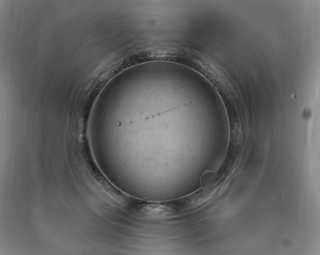 X0000090890557200707271334