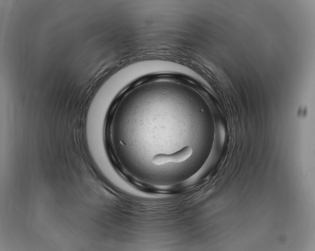 X0000090890558200707271334