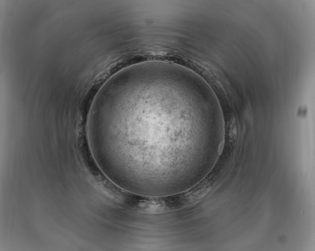 X0000090890559200707271334