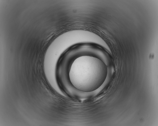 X0000090890560200707271334