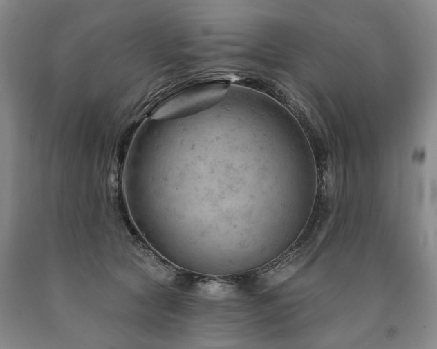 X0000090890561200707271334