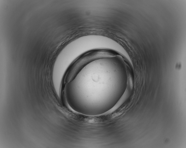 X0000090890564200707271334