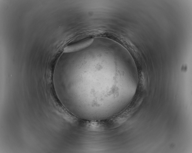 X0000090890565200707271334