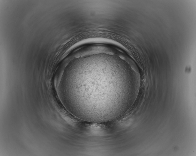 X0000090890566200707271334