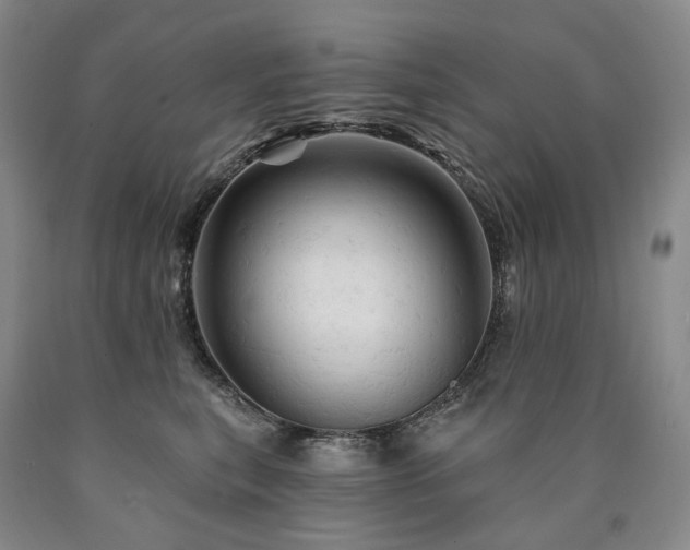 X0000090890567200707271334