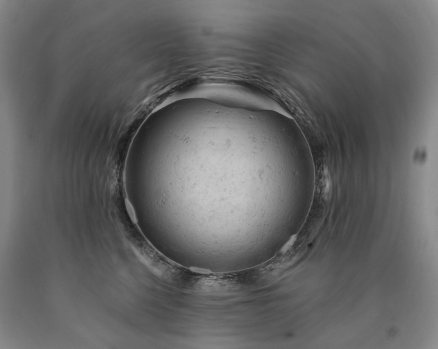 X0000090890568200707271334