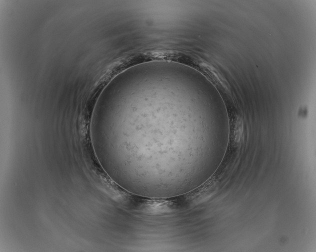 X0000090890569200707271334