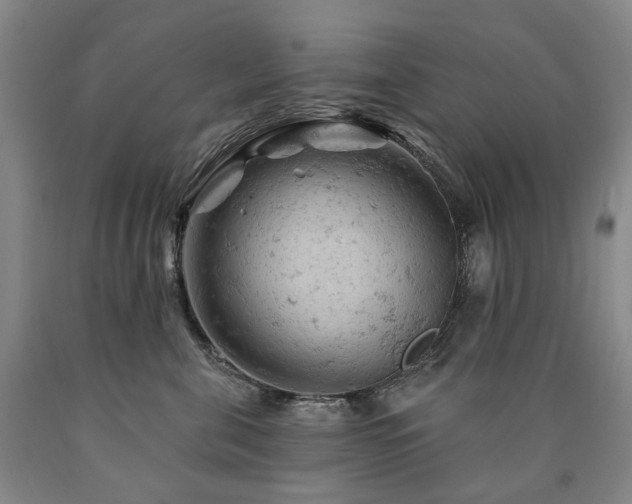 X0000090890571200707271334