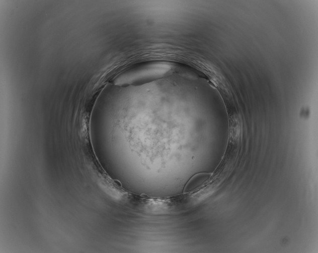 X0000090890573200707271335