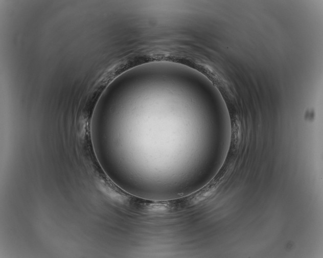 X0000090890574200707271335