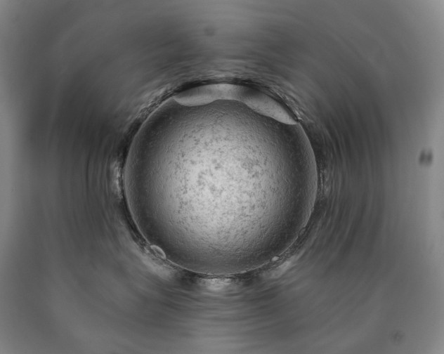 X0000090890575200707271335